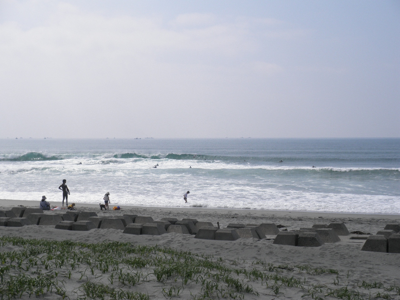 http://www.iwazer.com/~yasu/diary/P4290349.JPG